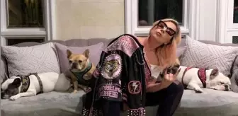 Lady Gaga... KÖPEK DAVASINDA YENİ GELİŞME!..