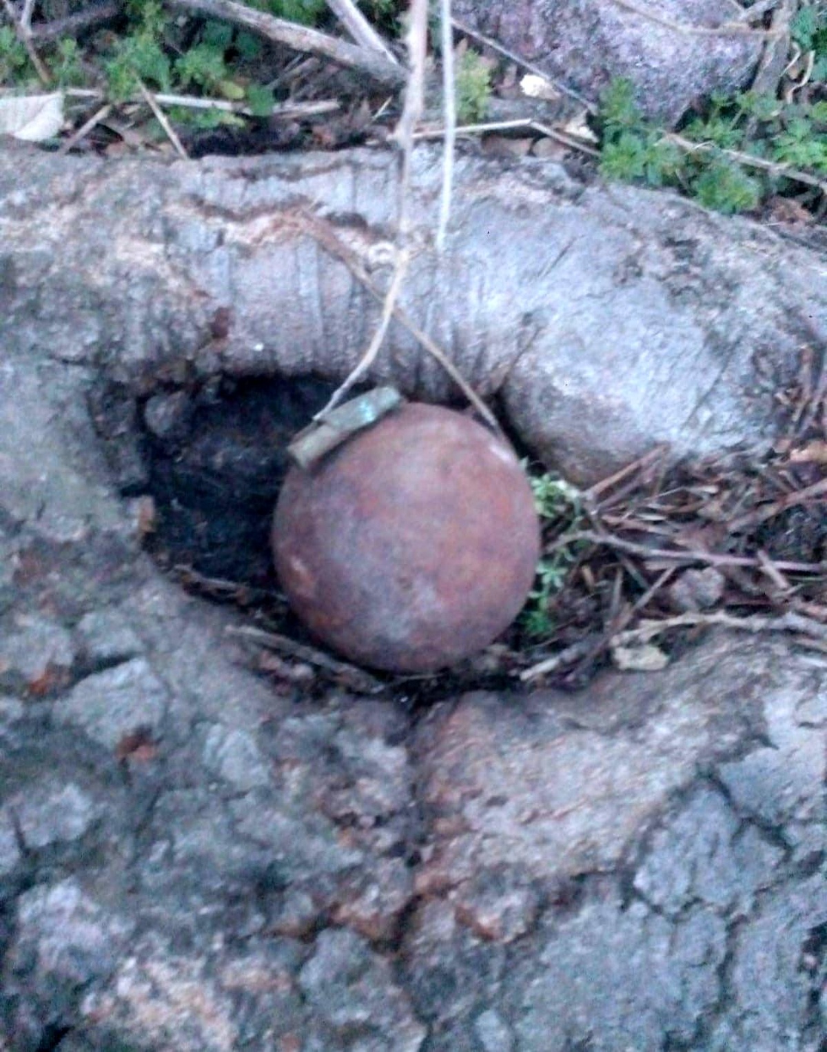 Çanakkale\'de arazide bulunan 2 el bombası imha edildi