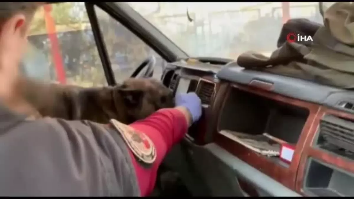Batman\'da narkotik köpeklerinden uyuşturucu tacirlerine darbe