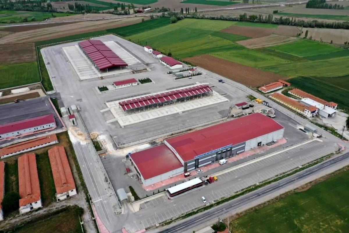 Çorum\'da hayvan pazarları kapatıldı