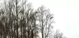 D-100'de ters yönde ilerledi, ölüme davetiye çıkardı