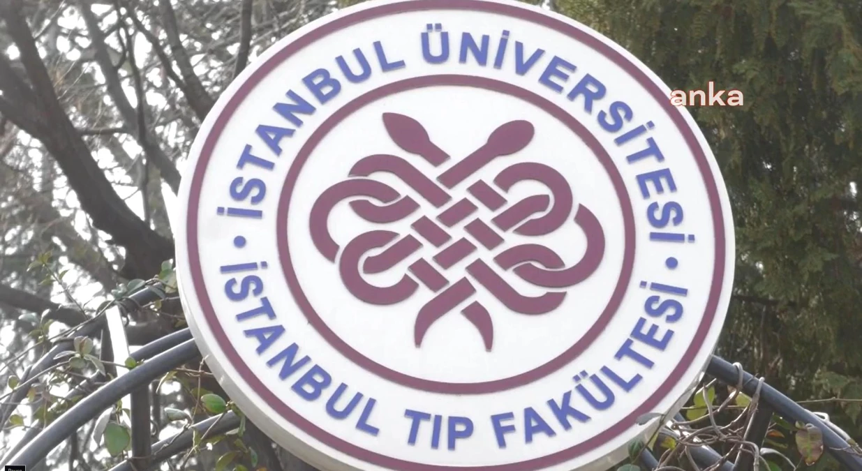 İstanbul Veteriner Hekimler Odası: İstanbul Üniversitesi Cerrahpaşa Veteriner Fakültesi\'nde Eğitim Durmamalı