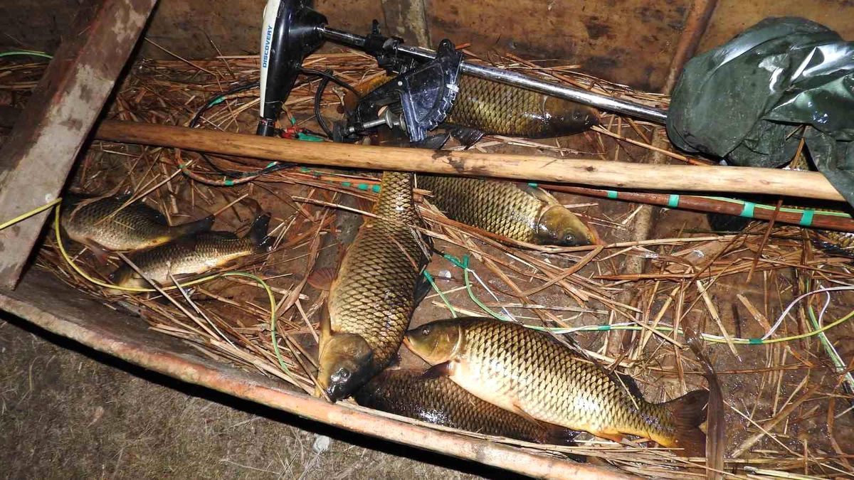 Konya'da elektroşokla avlananlara 488 bin lira ceza