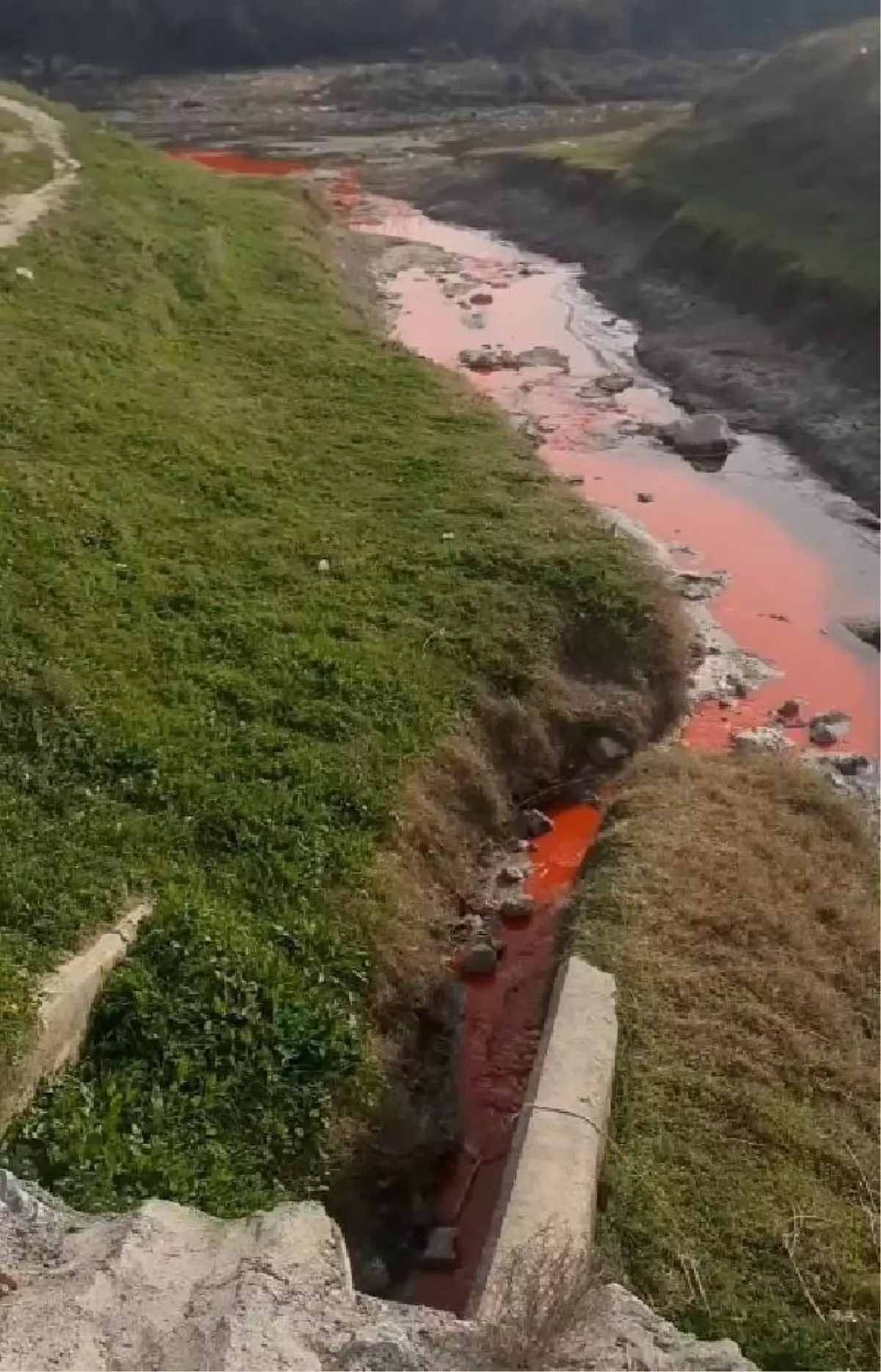 Mersin\'de kimyasal atık bırakılan dere, kırmızı akmaya başladı