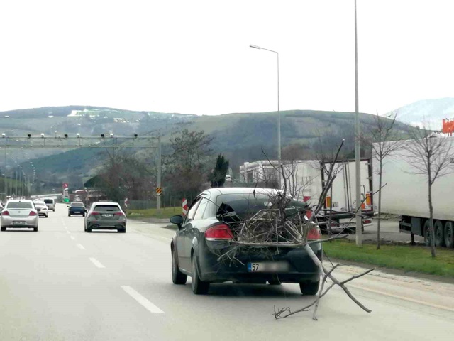 Otomobil ile yolda ağaç taşıdı, trafiği tehlikeye düşürdü Otomobil ile yolda ağaç taşıdı, trafiği tehlikeye düşürdü