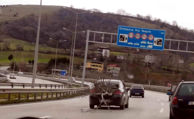 Otomobil ile yolda ağaç taşıdı, trafiği tehlikeye düşürdü Otomobil ile yolda ağaç taşıdı, trafiği tehlikeye düşürdü