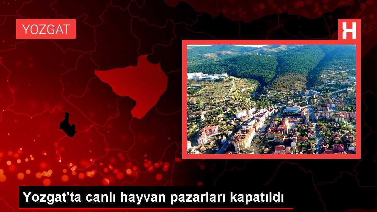 Yozgat'ta canlı hayvan pazarları kapatıldı