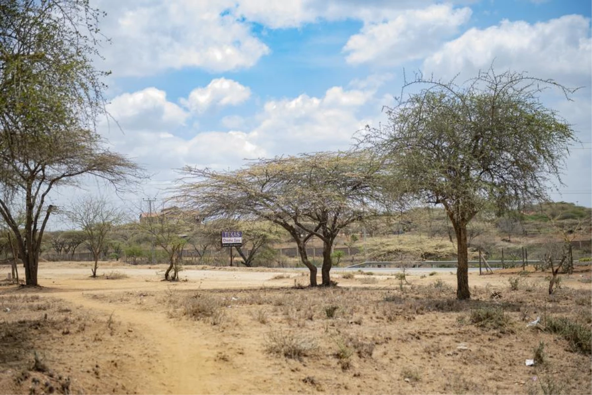 Kenya\'da Kuraklık Hayvancılıkla Geçinen Maasaileri Vurdu