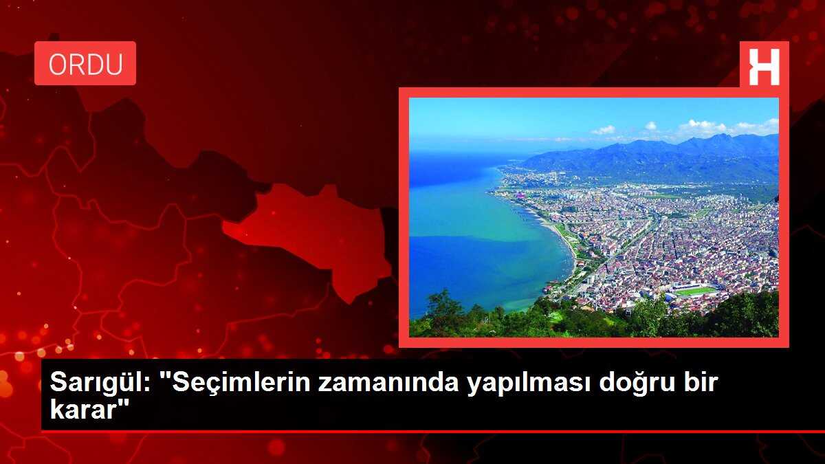 Sarıgül: 'Seçimlerin zamanında yapılması doğru bir karar'