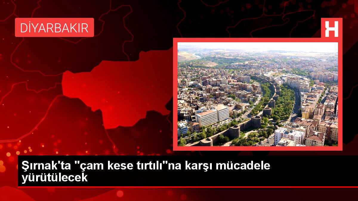 Şırnak'ta 'çam kese tırtılı'na karşı mücadele yürütülecek