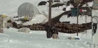 Yaşıtları parklarda oyun oynarken, dört kardeş yaylada sürünün peşinde koşuyor