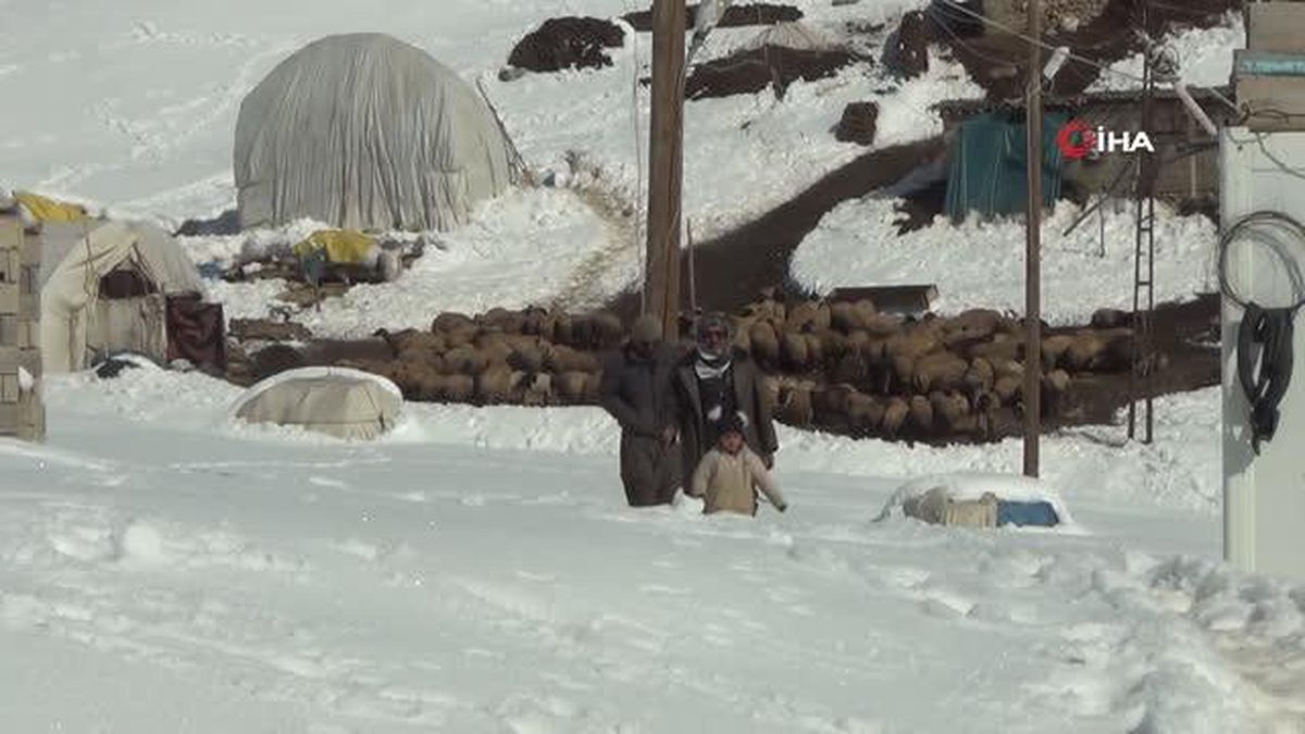 Yaşıtları parklarda oyun oynarken, dört kardeş yaylada sürünün peşinde koşuyor