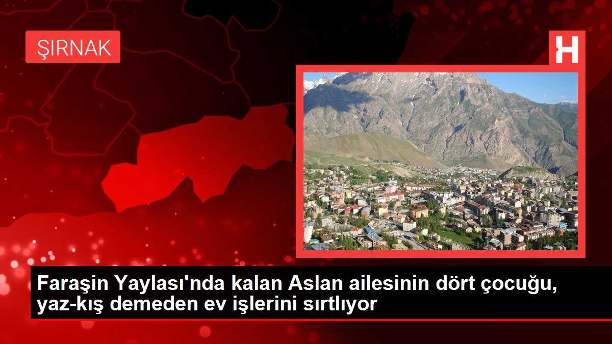 Faraşin Yaylası'nda kalan Aslan ailesinin dört çocuğu, yaz-kış demeden ev işlerini sırtlıyor