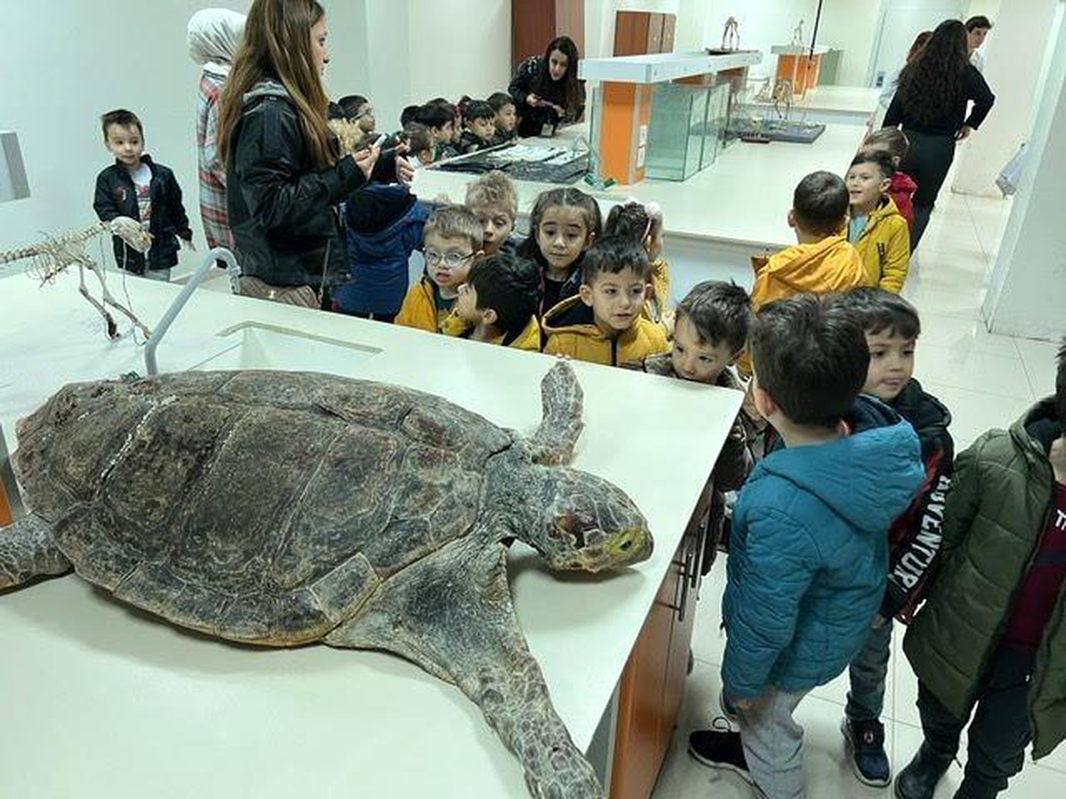 Minik öğrenciler Veteriner Fakültesine ziyaret