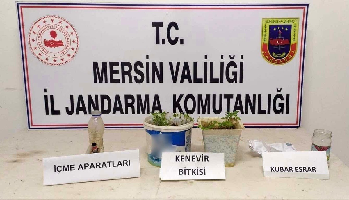 Saksıda kenevir yetiştiren şüpheli yakalandı