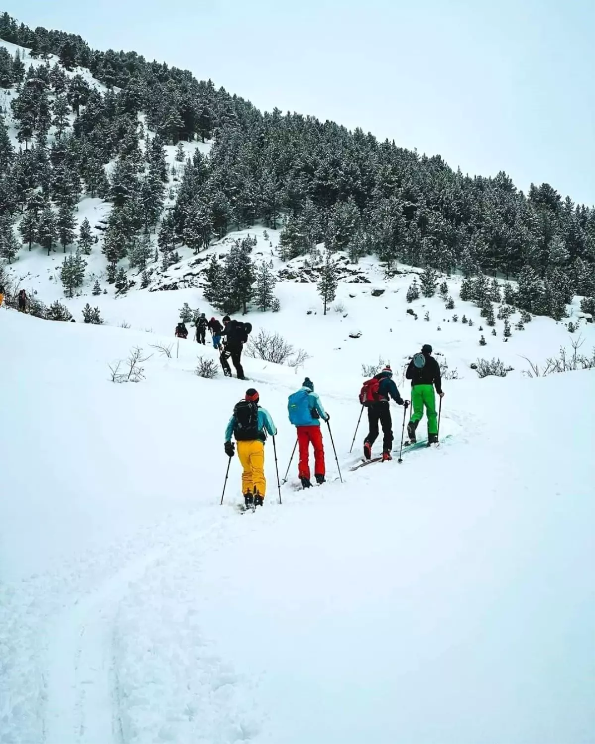 Artvin\'de çığ: 2 ölü, 7 yaralı