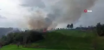 Osmaniye'de ormanlık alanda yangın çıktı