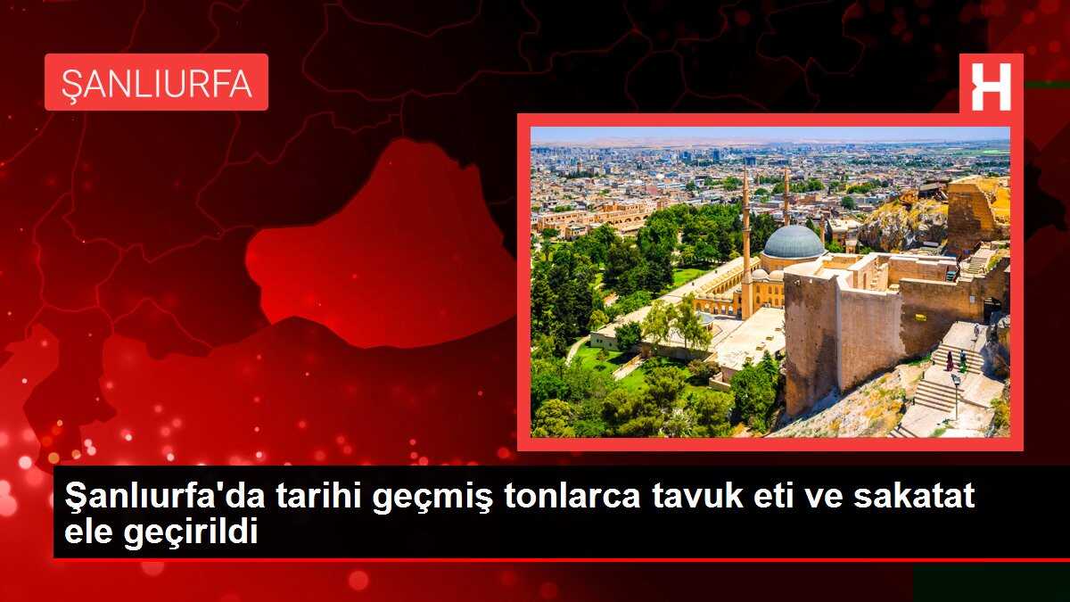 Şanlıurfa'da tarihi geçmiş tonlarca tavuk eti ve sakatat ele geçirildi