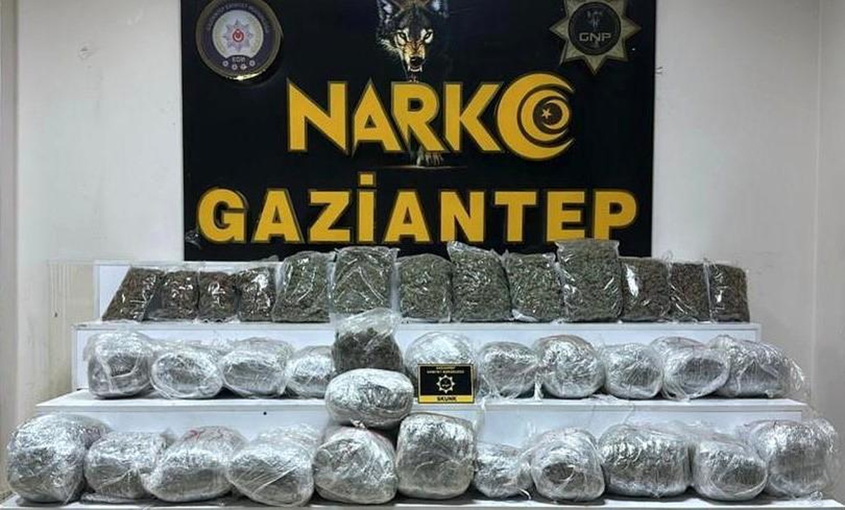 Gaziantep\'te 28 kilo 400 gram skunk ele geçirildi