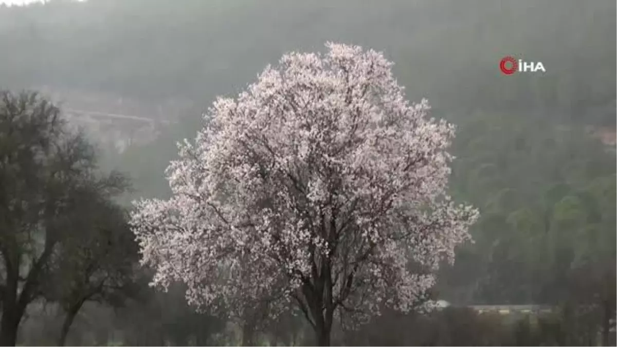 Muğla\'da beklenen yağış başladı