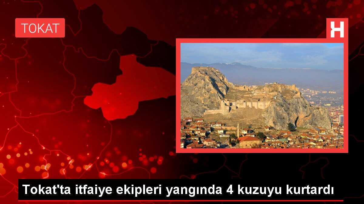 Tokat'ta itfaiye ekipleri yangında 4 kuzuyu kurtardı