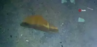 Tren hemzemin geçitten geçmek isteyen araca çarptı: 2 yaralı