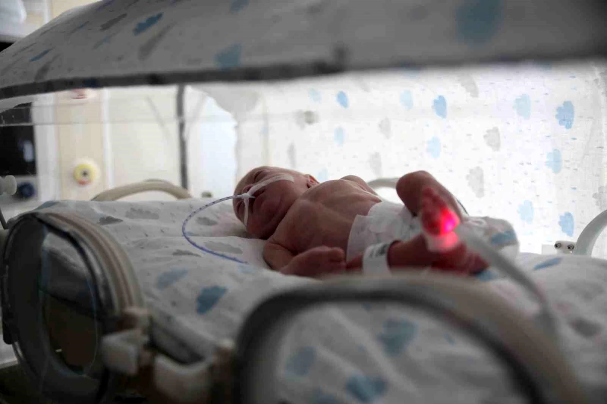 Deprem bölgesinden Mersin\'e getirilen bebekler, DNA eşleşmesi ile ailelerine teslim ediliyor