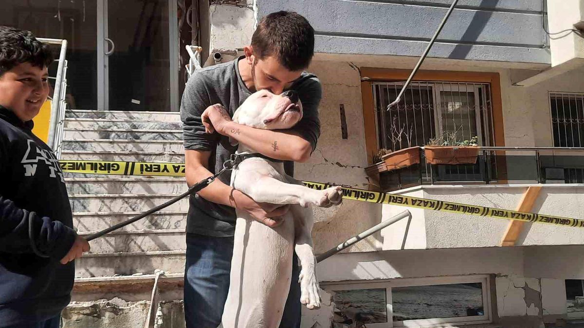 Kahraman köpek \'Dora\', deprem anında kendisini siper ederek sahiplerini korudu
