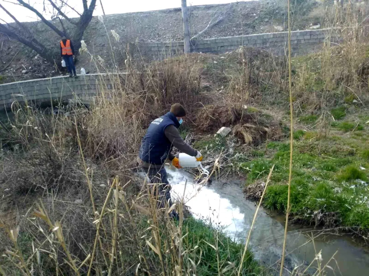 Kahta\'da larva üreme noktalarını ilaçlanıyor