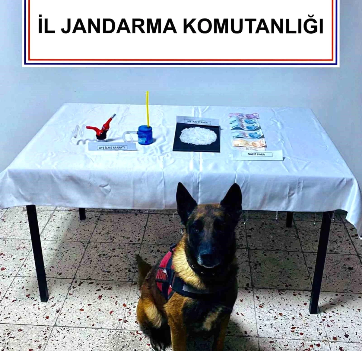 Narkotik köpek \'Kont\' destekli uyuşturucu operasyonu