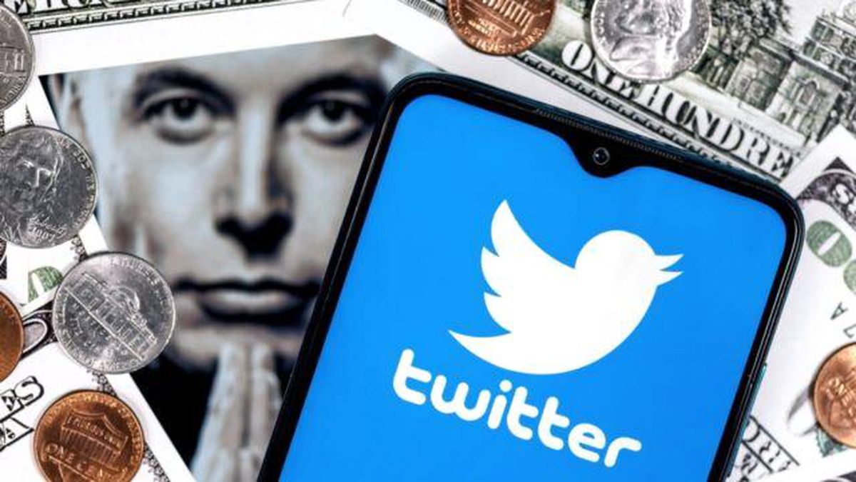 Elon Musk, Twitter ofisindeki bitkileri çalışanlara sattı!
