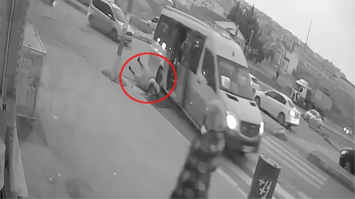 Kapıyı kapatmayan minibüs şoförü ters manevra yaptı! Yolcu kadın kucağında çocukla yola savruldu