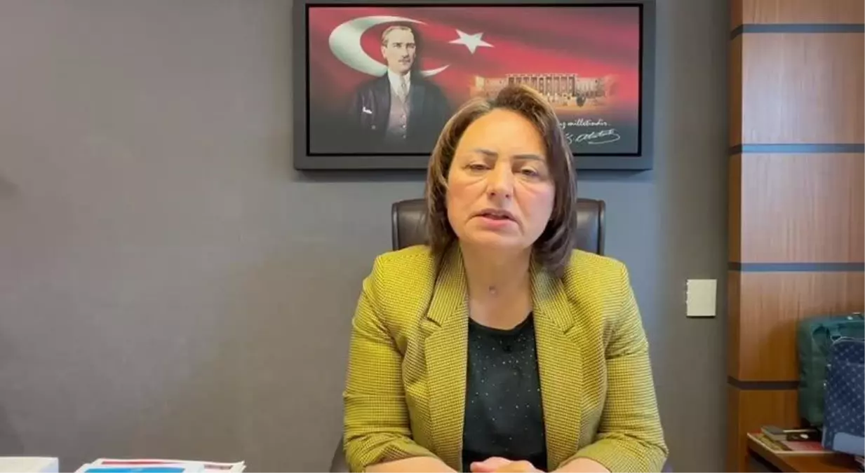 Müzeyyen Şevkin: "Felaketin Üzerinden Tam Bir Ay Geçti. Deprem Bölgesinde Her Şey, Bir Ay Önceki Gibi…"