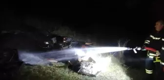 Ormanlık alandaki arı kovanları kül oldu