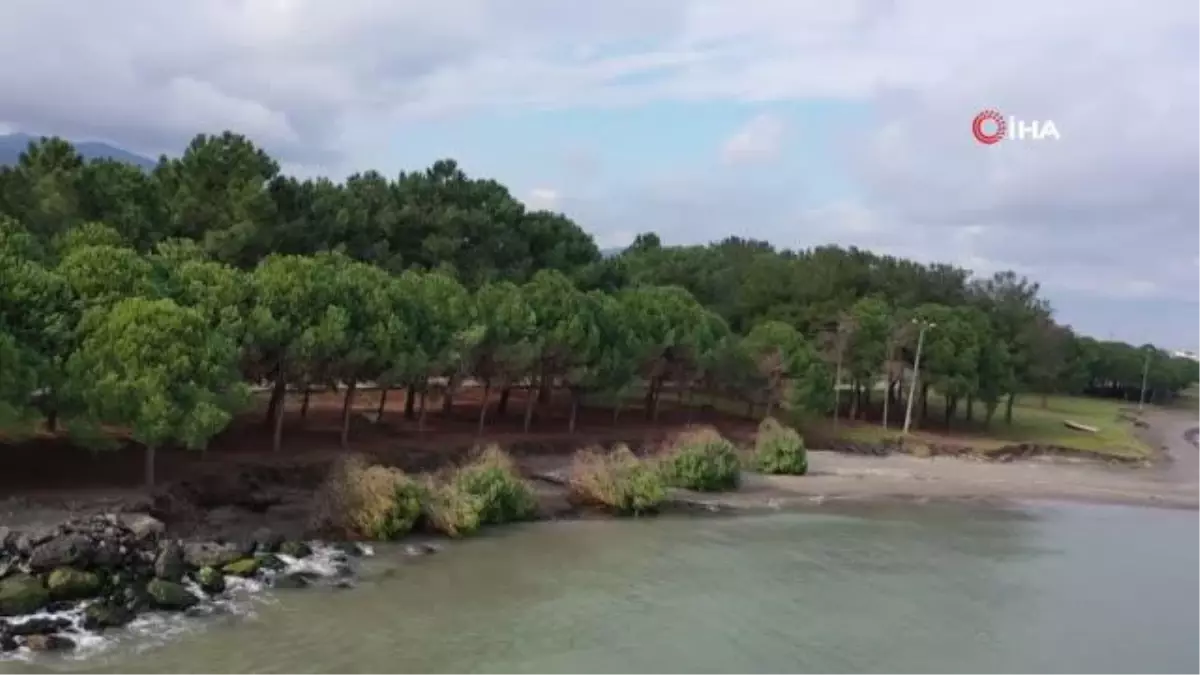 Samsun\'da kıyı erozyonu ve tahribatı önlenecek