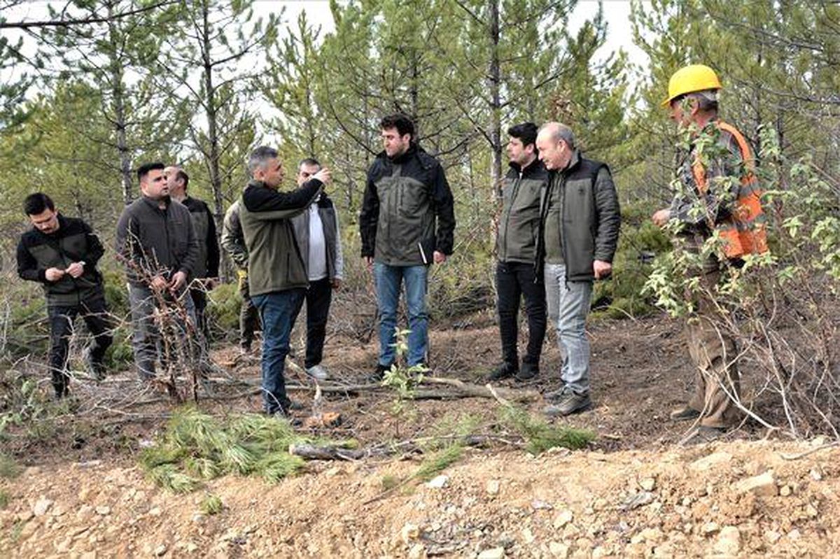 "Sürdürülebilir ormancılık ilkesi sıklık bakımı sahaları için çok önemli"