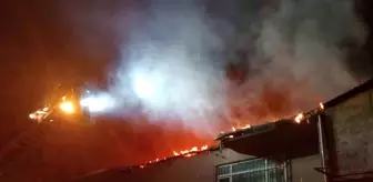 Beyoğlu'nda alev alev yanan binadan köpeği kucağında çıkardı