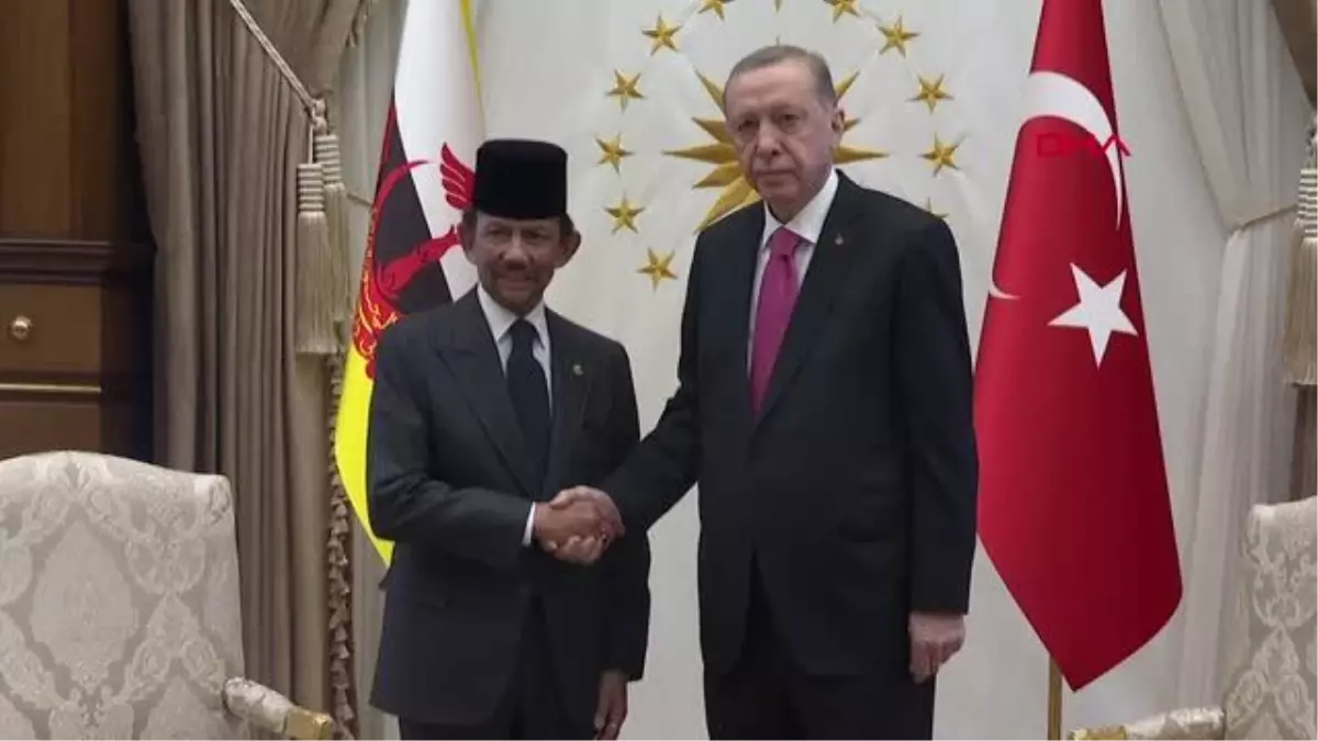 CUMHURBAŞKANI ERDOĞAN, BRUNEİ DARÜSSELAM SULTANI İLE BAŞBAŞA GÖRÜŞTÜ