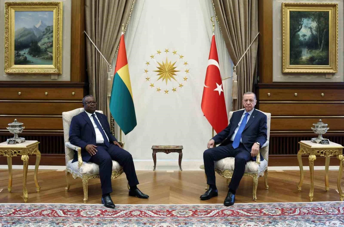 Cumhurbaşkanı Erdoğan, Gine Bissau Cumhurbaşkanı Embalo ile görüştü