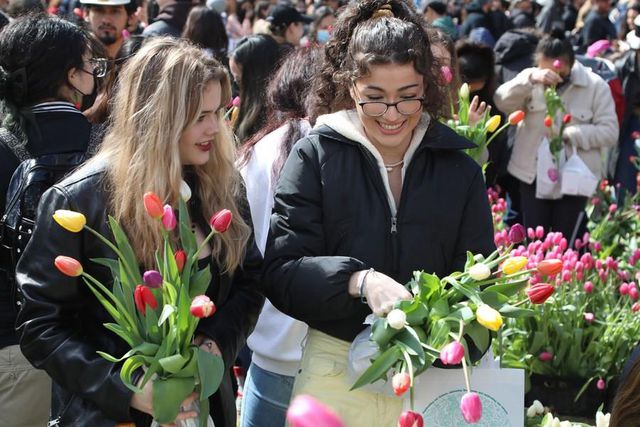 Dünya Kadınlar Günü Dünya Genelinde Kutlanıyor