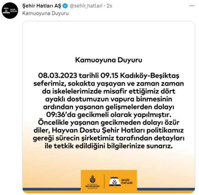 Kadıköy-Beşiktaş vapuruna sokak köpeği bindi, seferi iptal eden kaptana yolculardan tepki Kadıköy-Beşiktaş vapuruna sokak köpeği bindi, seferi iptal eden kaptana yolculardan tepki