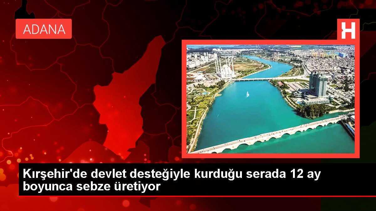 Kırşehir'de devlet desteğiyle kurduğu serada 12 ay boyunca sebze üretiyor
