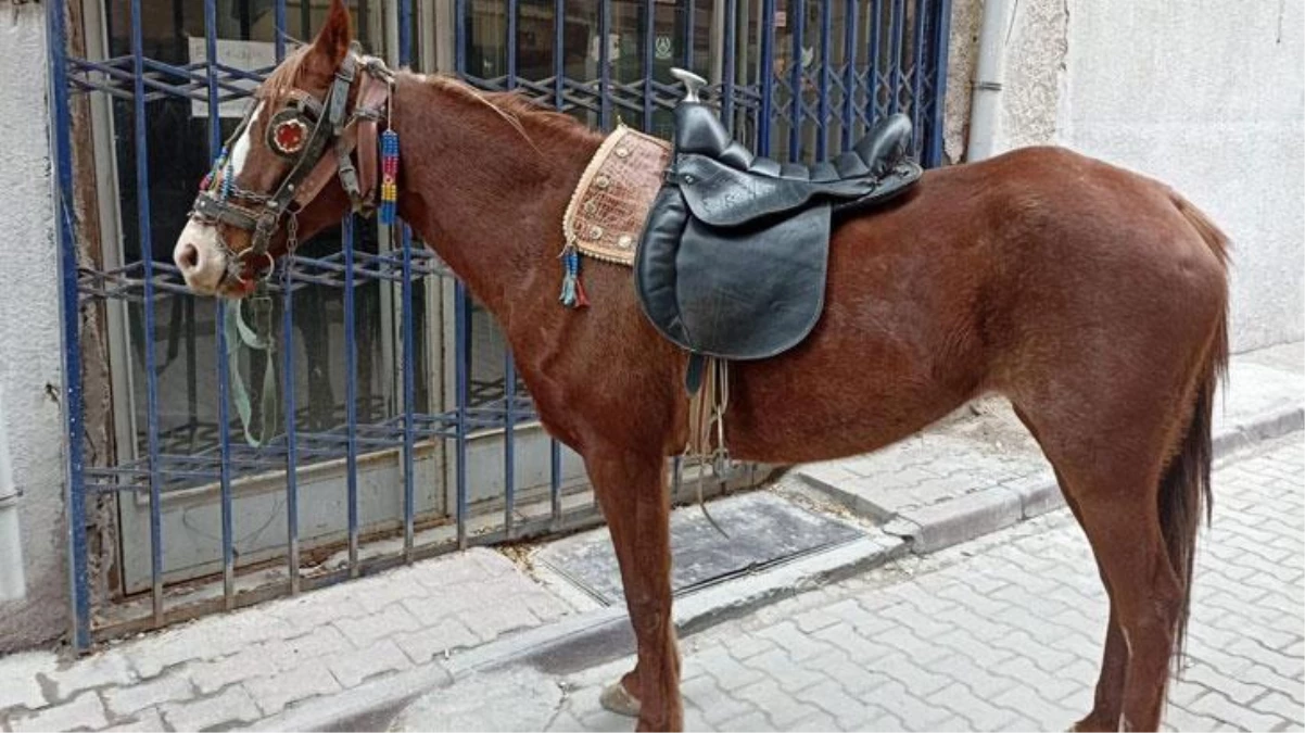 Konya\'da alkollü olarak atıyla caddede dolaşan kişiye 10 bin 111 lira ceza