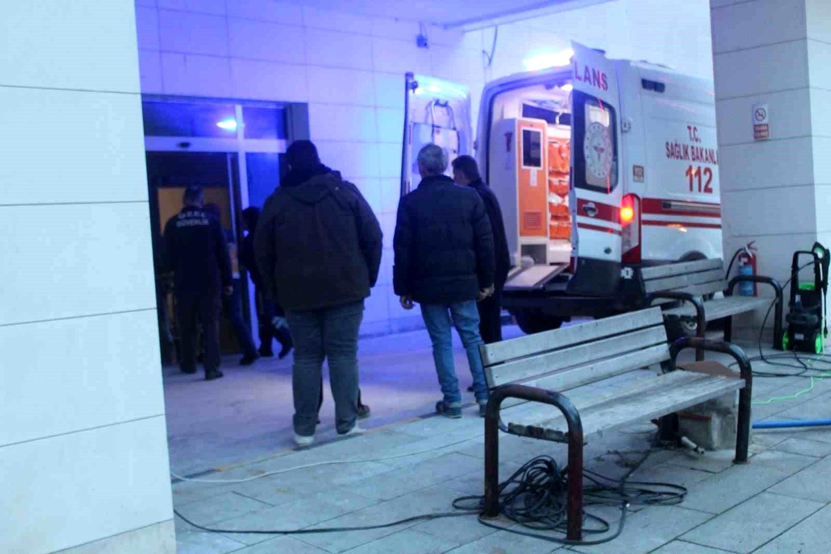 Budamak için çıktığı ağaçtan düşten vatandaş yaralandı