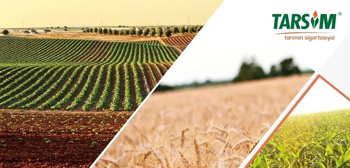 Hasar fazlası desteğine ilişkin Cumhurbaşkanı kararı yayımlandı