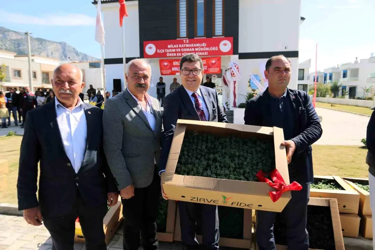 Ören\'de üreticilere 100 bin ıtri bitki dağıtıldı