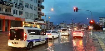 Dolu yağışı Kadirli'yi beyaza bürüdü