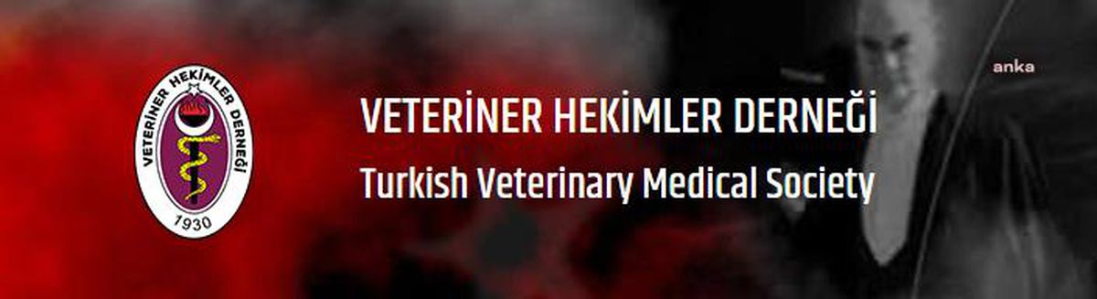 Veteriner Hekimler Derneği, Hayvanların Kimliklendirilmesi İçin Sürenin Uzatılmasını İstedi