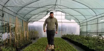 Depremin ardından bahçelere yönelen vatandaşların fide ve bitkilere ilgisi arttı