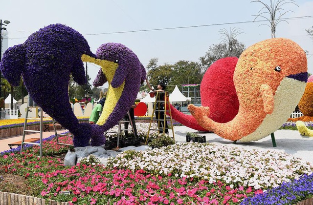 Hong Kong, Çiçek Festivali'ne Hazırlanıyor Hong Kong, Çiçek Festivali'ne Hazırlanıyor